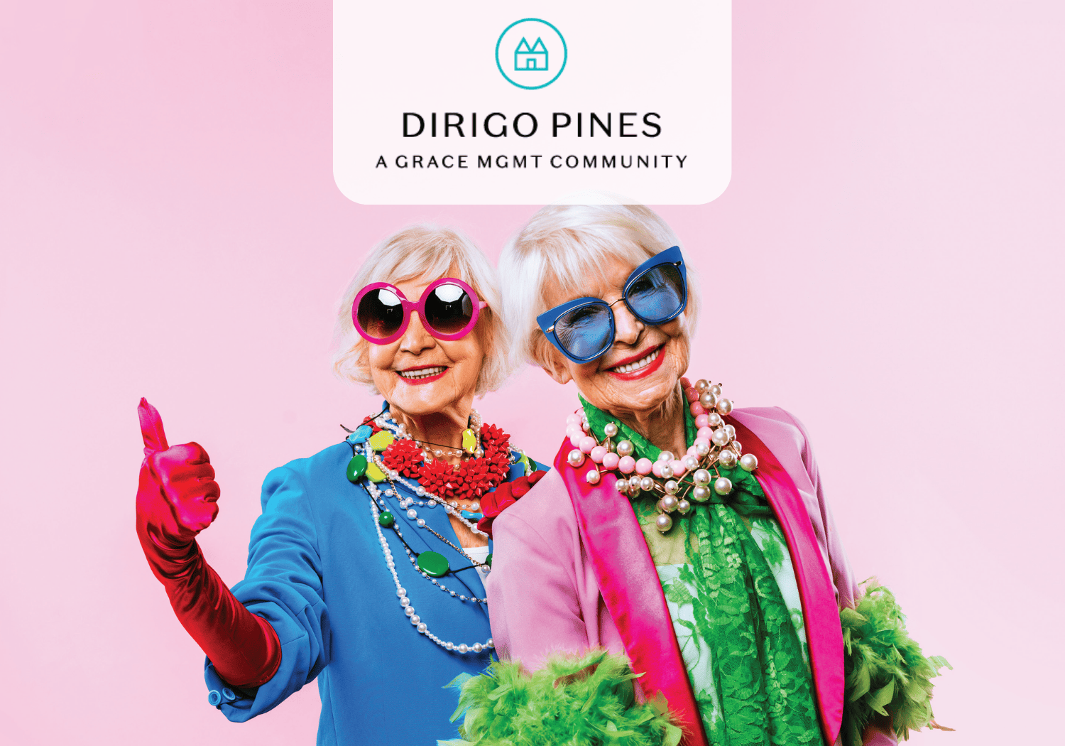 Dirigo Pines - Gorgeous Grandma - Dirigo Pines