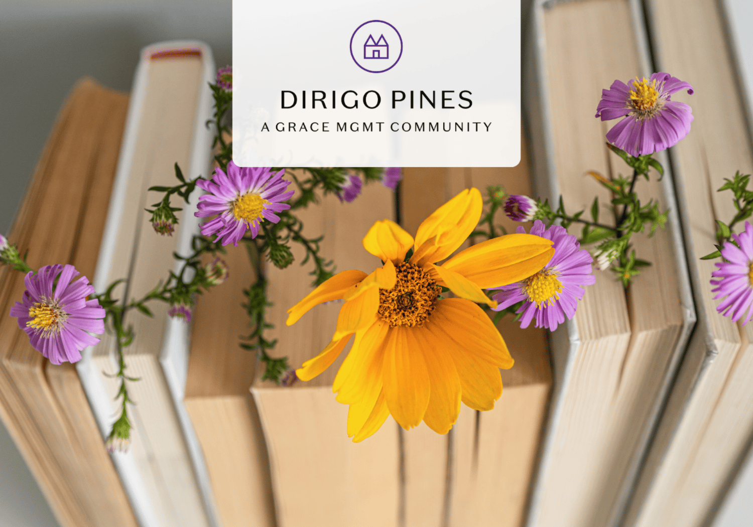 Brand card with Dirigo Pines logo and text over a bouquet of purple asters and an orange daisy among stacked books (hero image).