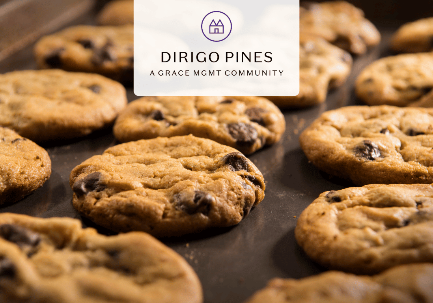 Chocolate chip cookies cooling on a baking sheet with a white overlay card showing the Dirigo Pines logo and 'A Grace MGMT Community' tagline.